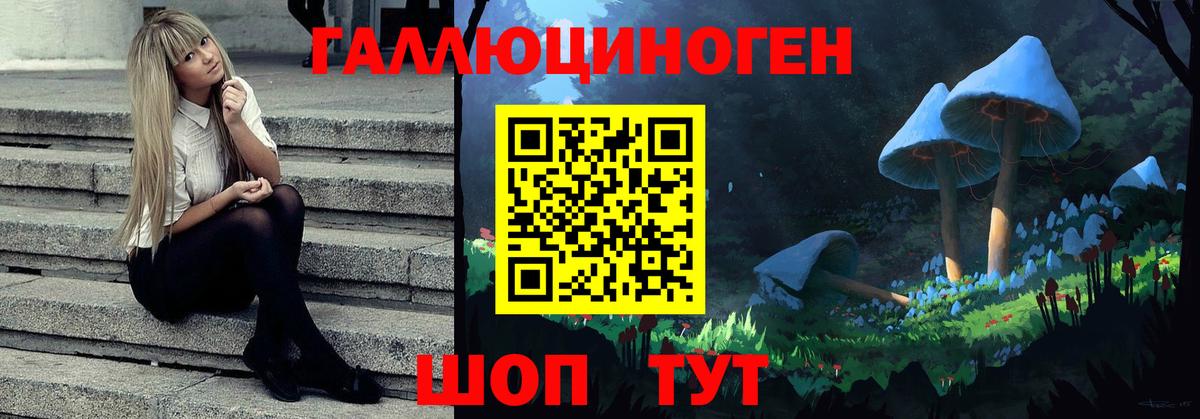 Псилоцибиновые грибы Magic Shrooms  Вход с VPN  Галлюциногенные грибы прущие грибы  Качканар 